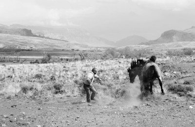 A Young Man and an Old Colt 23 December 2016